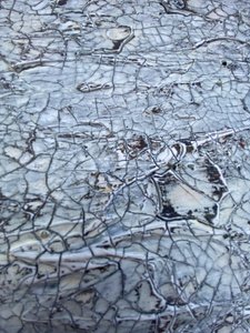  od Gabriela Aleksandra Szuba