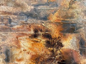  od Gabriela Aleksandra Szuba