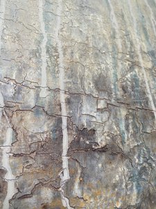  od Gabriela Aleksandra Szuba