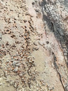  od Gabriela Aleksandra Szuba