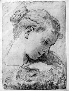 Studie dívčí hlavy, 18. století 1933. od Gaetano Gandolfi