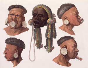 Heads of Botocudos Indians (barevné rytí)