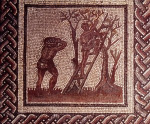 Gallo Roman Art: mozaiková dlažba představující rustikální kalendář. Scéna se sběrem oliv. Konec 2., začátek 3. století po JC. Ze Saint-Romain-en-Gal (Rhone). Saint Germain en Laye, Národní muzeum archeologie od Gallo Roman