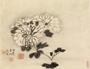 Chryzantémy od Gao Qipei
