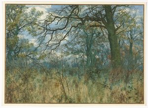 Stromy a podrost od Garden William Fraser