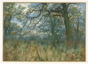 Stromy a podrost, 1885. od Garden William Fraser