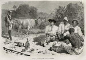 Skupina vaqueros hrajících karty a pijících alkohol poblíž stád volů, rytina podle kresby G. Vuilliera, pro ilustraci příběhu De Cayenne aux Andes, od Julese Crevauxe, doktora francouzského námořnictva, v letech 1878-1879, vyd. v tour du mon od Gaston Vuillier