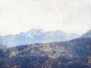 Les v zamlžených horách od Gemma Bardot