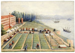 Pohřebiště ve Všeobecné nemocnici, Scutari, duben 1855 od General E.W. Wray