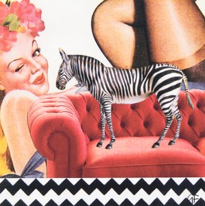 ZigZagZebra (koláž)