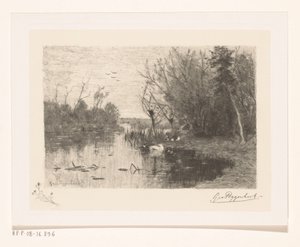 Kachny podél a na břehu jezera Duck pee (původní název) od Geo Poggenbeek (signed by artist)