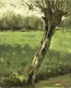 Vrba