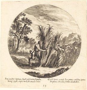 Pan a Syrinx