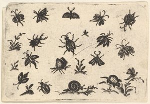 Malé motivy hmyzu a rostlin, 1596. od Georg Herman
