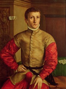 Portrét mladého muže, 1544