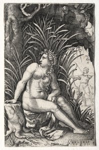 procris od Georg Pencz