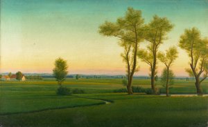 Moorlandscape