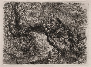 Stará vrba u potoka, 1794. od Georg von Dillis