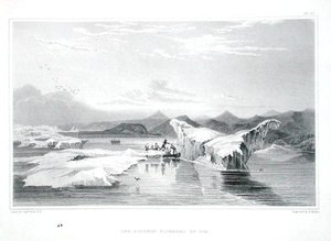 Delfín vymačkaný ledem, z „Příběhu cesty k pobřeží Polárního moře v letech 1819-22“ od Sira Johna Franklina (1786-1847), vyrytý Edwardem Findenem (1791-1857), publikováno 1823-28 (barevně rytina)