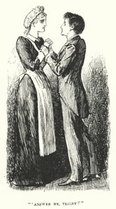 Ilustrace pro Trilby od George du Maurier (rytina) od George (after) Du Maurier