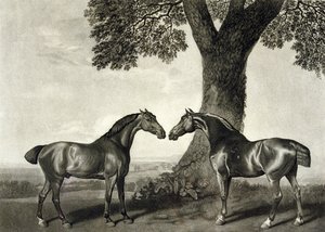 Dva lovci, vyryl G.T. Stubbs (bap.1748-c.1815) (litho) (viz také 266802)