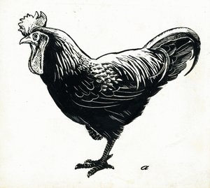 The Hen, 50. léta (škrabka) od George Adamson