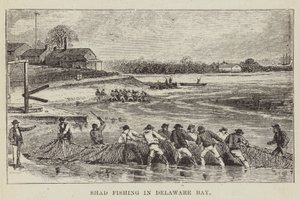 Shad Fishing v Delaware Bay od George Augustus Sala