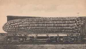 Náklad texaské kukuřice autem, ca. 1910. od George B. Cornish