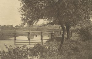 On the Sow near Walton