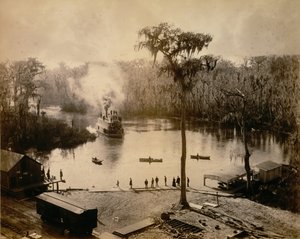 Stern-Wheeler Příjezd do Silver Springs na Floridě po nočním běhu po St. John..., 1886.