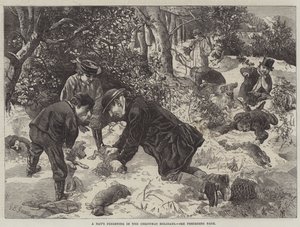 Celodenní fretkování o vánočních svátcích od George Bouverie Goddard