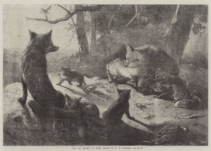 Liščí rodina doma od George Bouverie Goddard