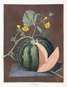 Stříbrný rockový meloun, 1812