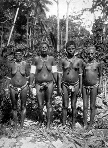 Ženy ve festivalovém oděvu, Melanesia, 1920. od George Brown