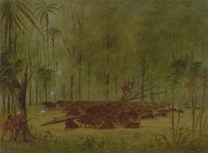 A Fight with Peccaries - Caribbe, 18541869. od George Catlin
