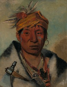 Ah-yaw-né-tak-oár-ron a Warrior, 1831. od George Catlin