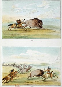 Američtí indiáni: lov bizonů. Ilustrace George Catlin (1794-1872) od George Catlin