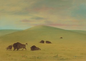 Americká pastvina - Prairies of the Platte, 18611869. od George Catlin