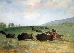 Indián z kmene Osage, který loví bizona od George Catlin