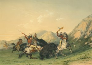 Útok na medvěda grizzlyho od George Catlin
