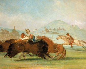 Batiste a já běžíme za bizony, Ústí Yellowstonu od George Catlin