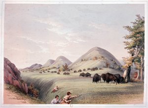Bison Hunt od George Catlin