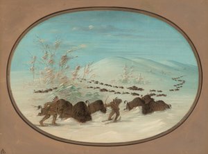 Buffalo Chase ve sněhových závějích - Ojibbeway, 18611869. od George Catlin