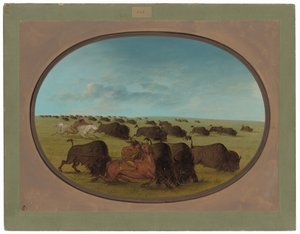 Buffalo Chase, s nehodami od George Catlin