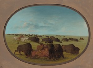 Buffalo Chase, s nehodami, 18611869. od George Catlin