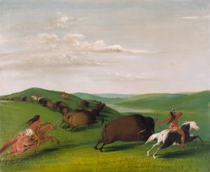Honba za bizony s luky a kopími od George Catlin