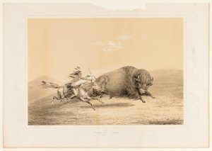 Buffalo Hunt, Chase - ne. 5 od George Catlin