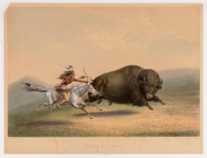 Buffalo Hunt, Chase - ne. 5 od George Catlin
