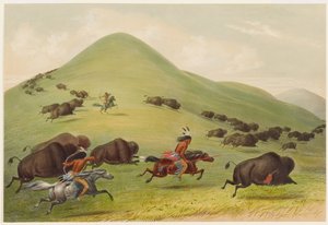 Lov bizonů: pronásledování od George Catlin