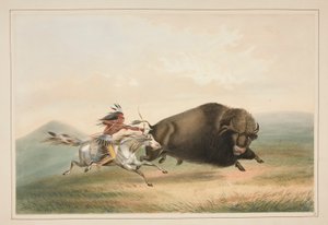 Buffalo Hunt, Chase, pl. 5 z portfolia severoamerických indiánů od George Catlin